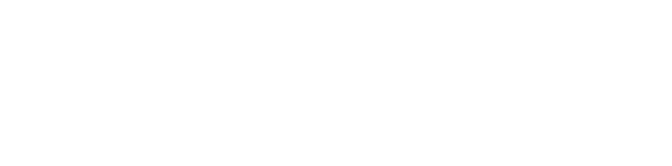 chichimeca